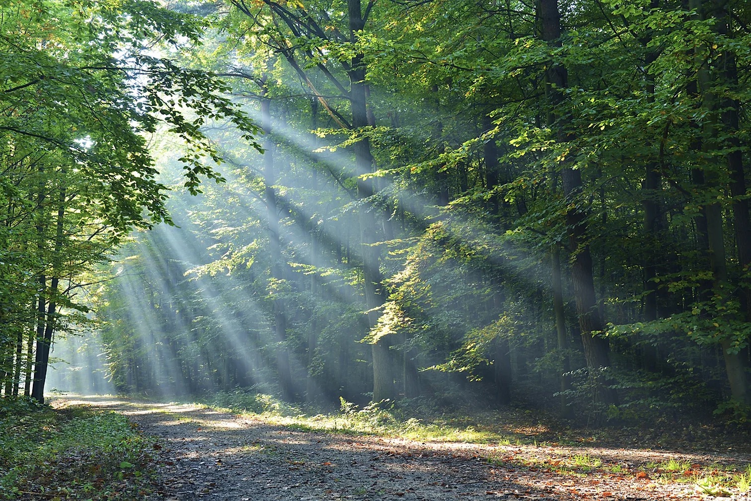 Biciklistička staza Ruta po Jantaku
