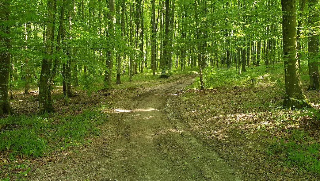 Pješačka staza oko Seoskog turizma Kezele