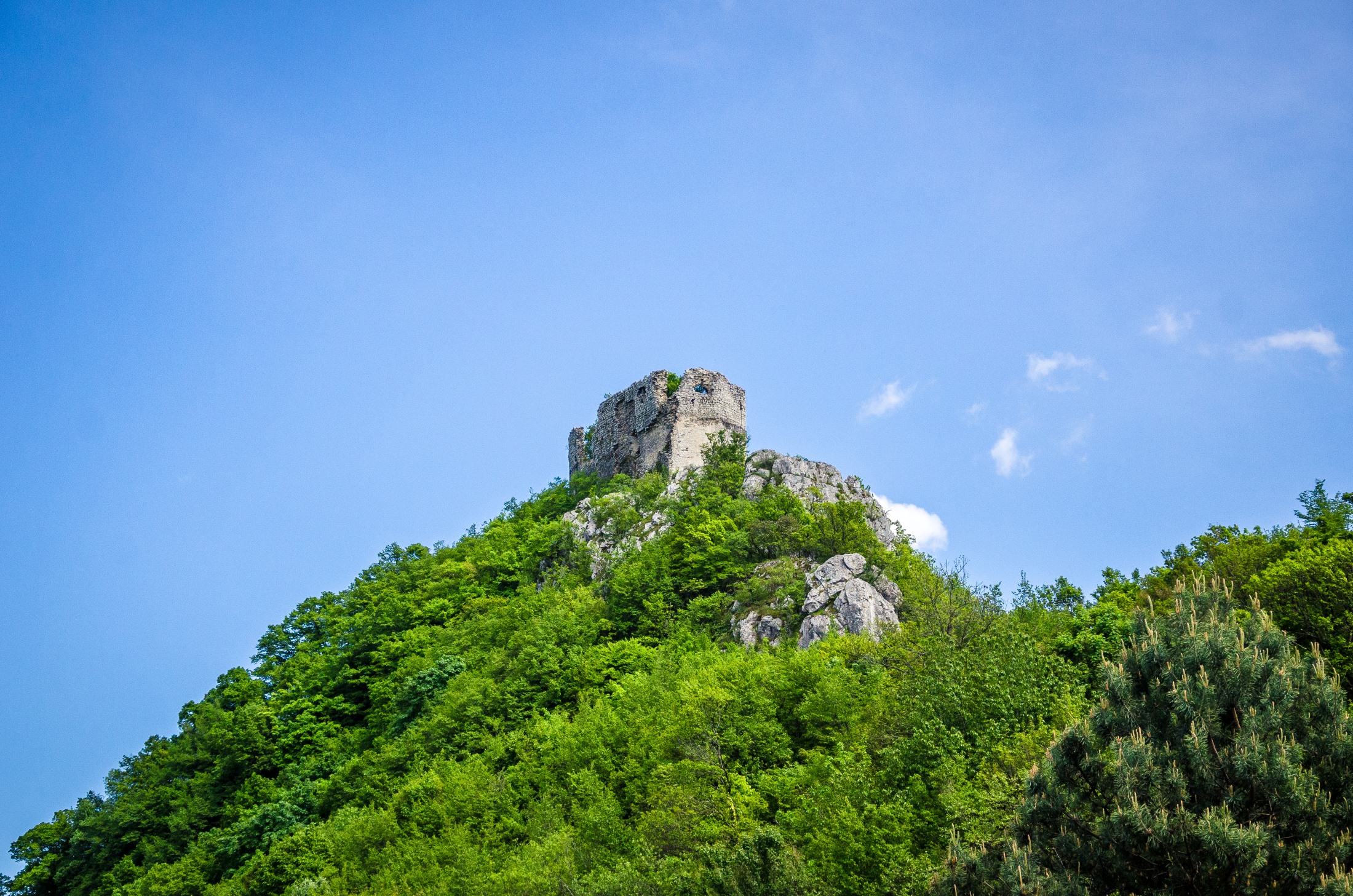 Što raditi