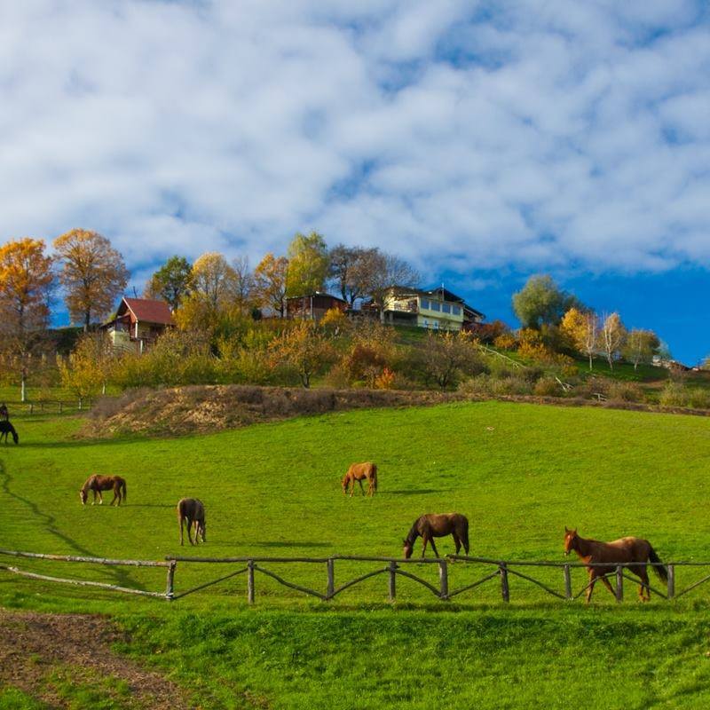 Obilježavanje Dana planeta Zemlje 26.4.2026.