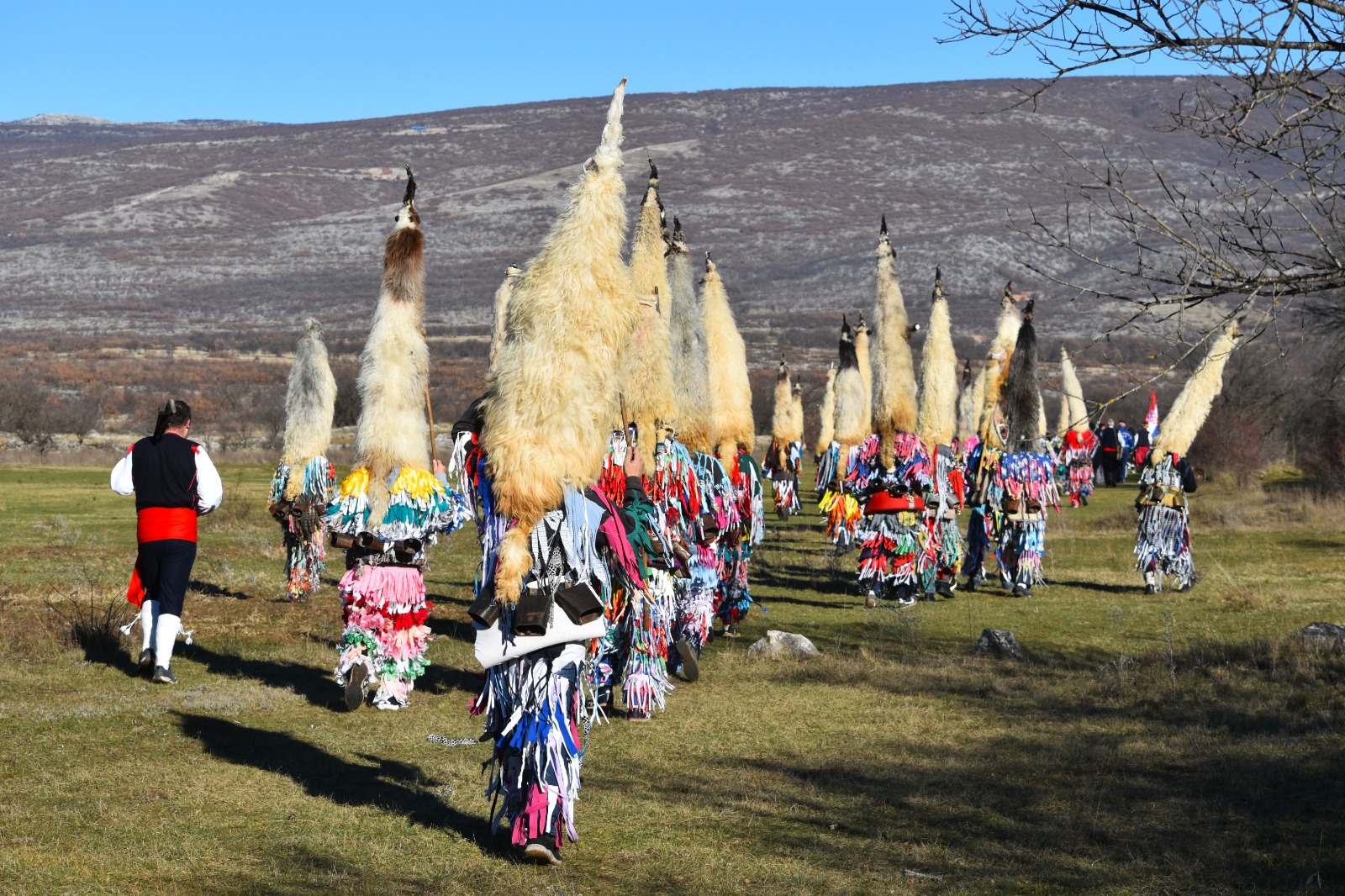 Didi s Kamešnice i stara mudrost dalmatinskog sela