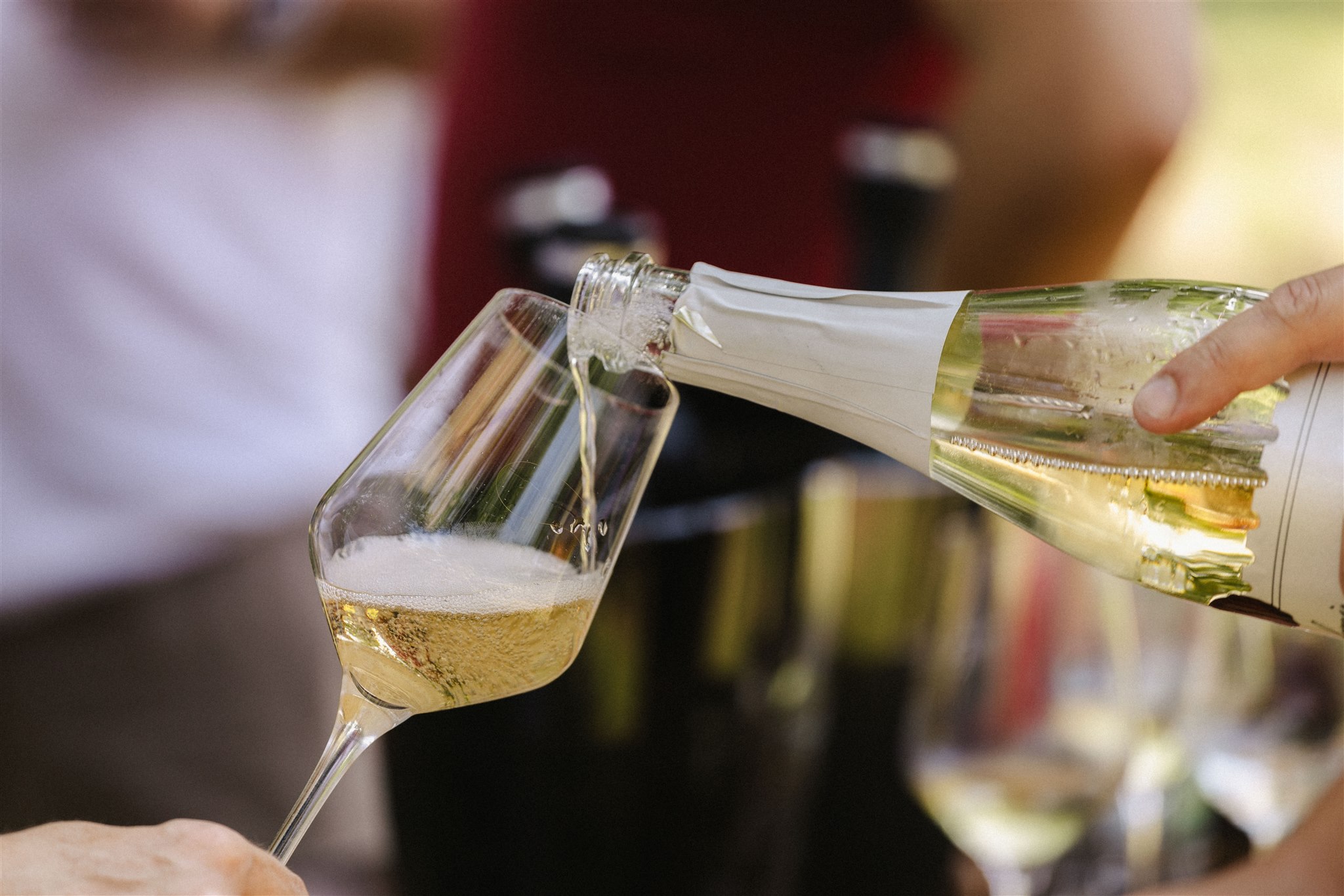 Martinje u Novom Vinodolskom  8.11.2025.