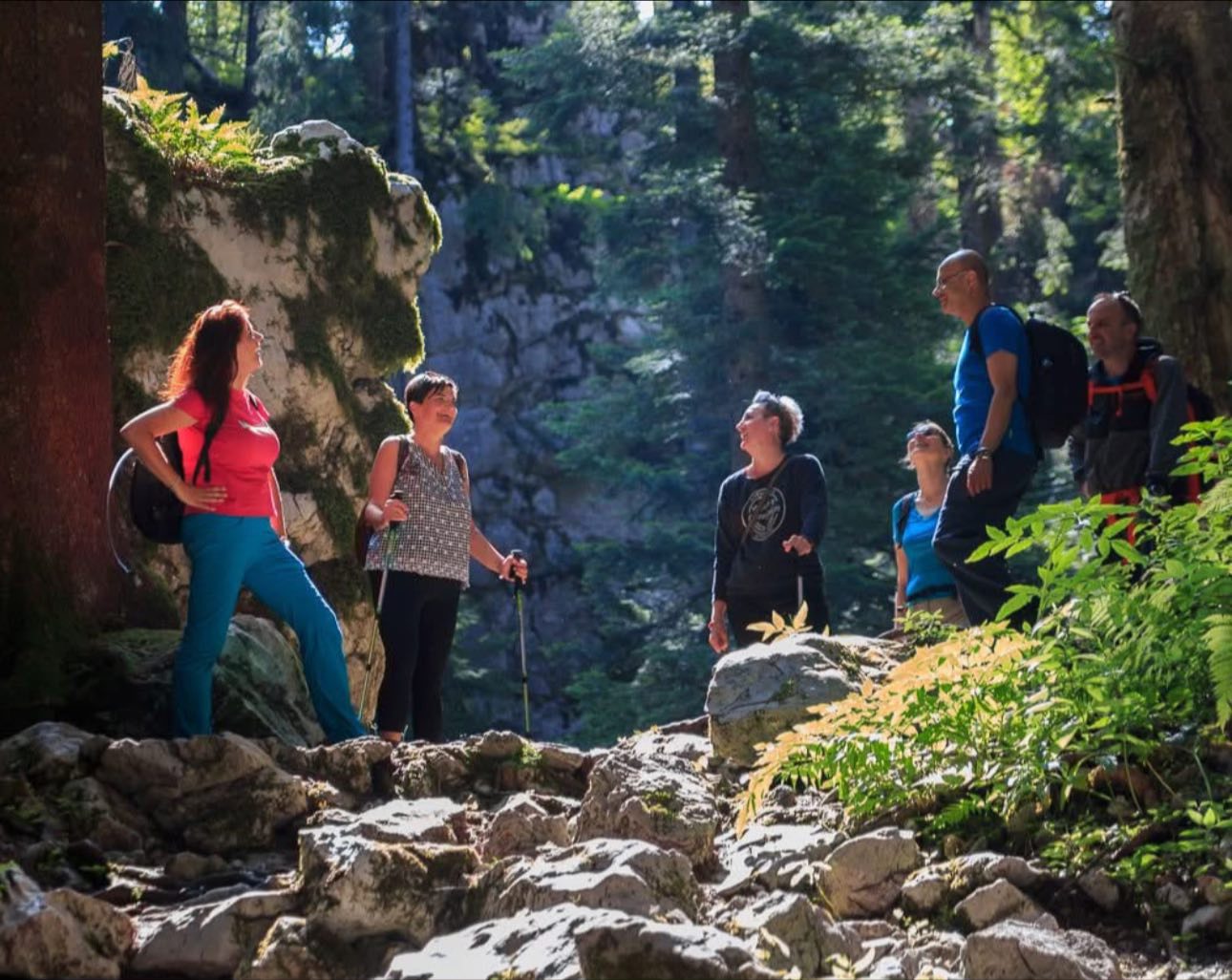 Tajne mistične šume 25.4.2026.