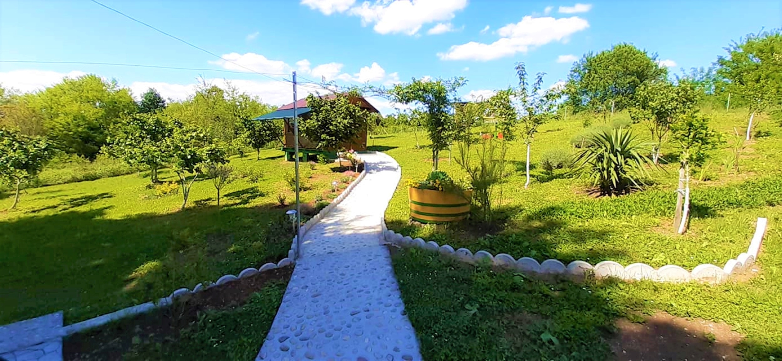 Dan otvorenih košnica 1.6.2025.