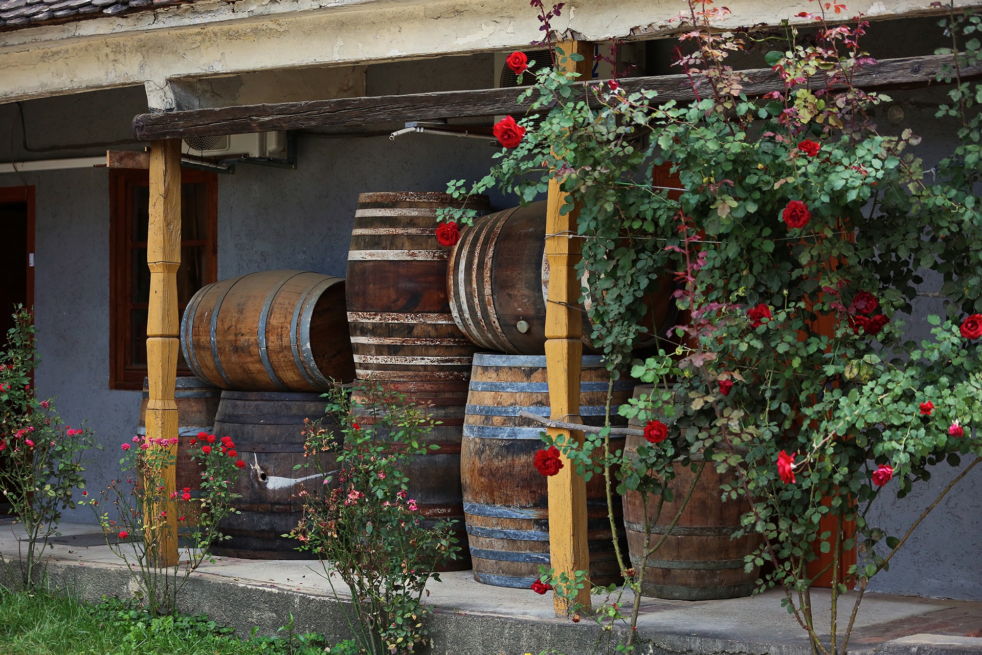 Bačvarska zbirka obitelji Golub