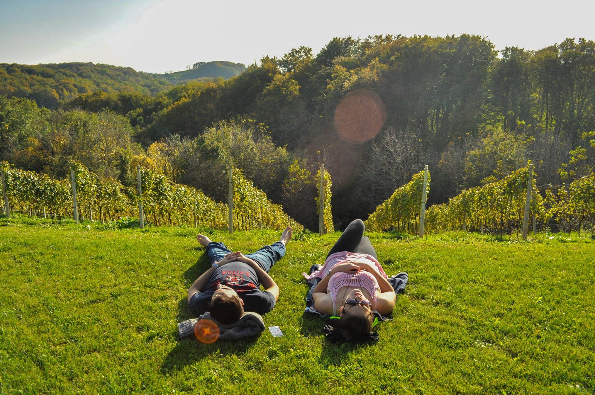 Što raditi u okolici 