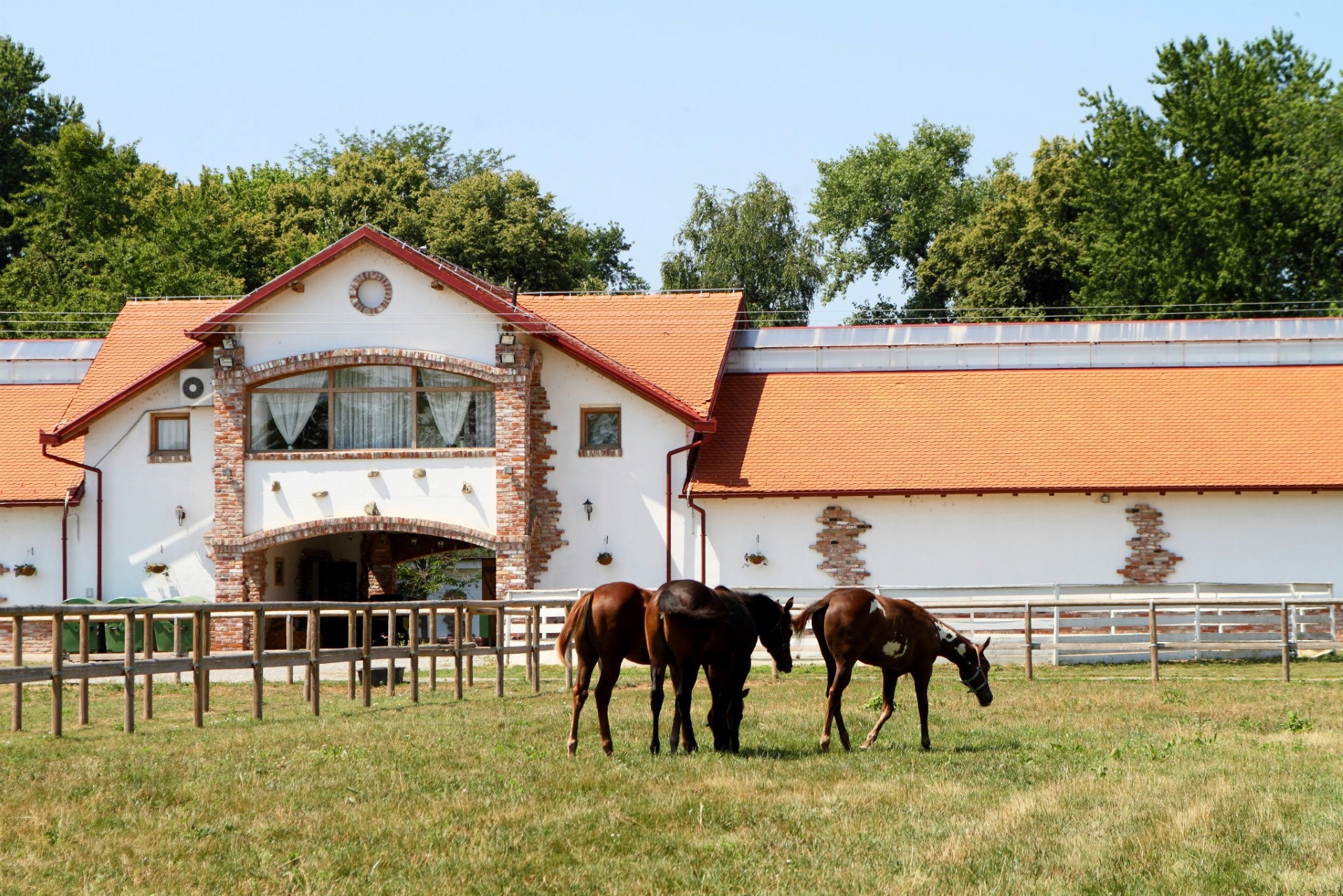Za ljubitelje konja ili one koji će to tek postati