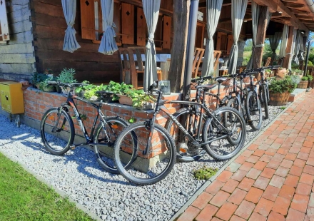Holiday home Lina Bicikli MTB