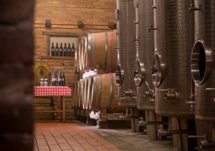 Seoski turizam Kezele Srđan Kovačević Vinarija