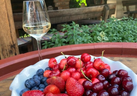 Podrum Vineda Vino 2