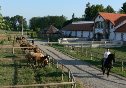 Pustara Višnjica Ergela