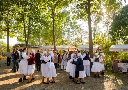 API Centar  Grgurić Denis Stošić Dan otvorenih košnica 2