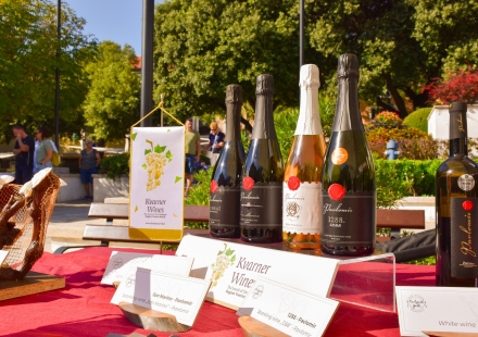 TZ Novi Vinodolski  Domaći proizvodi 3