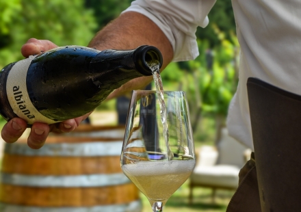 TZ Novi Vinodolski  Domaći proizvodi 2