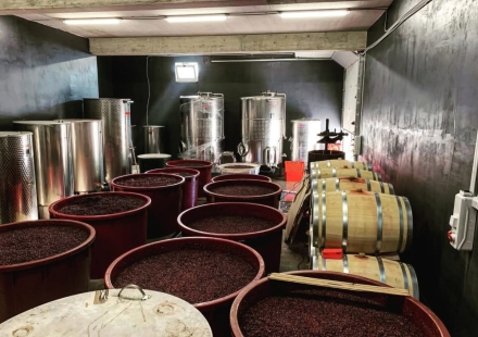 Agroturizam Braenovic Vinarija 