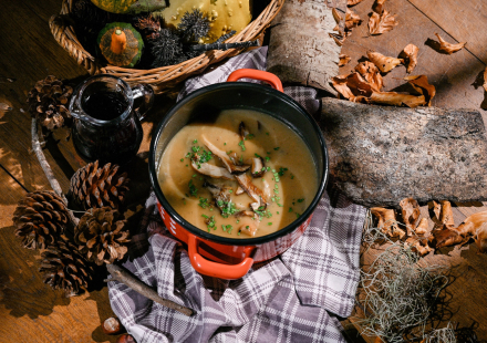 TZ Gorskog kotara gastro 4