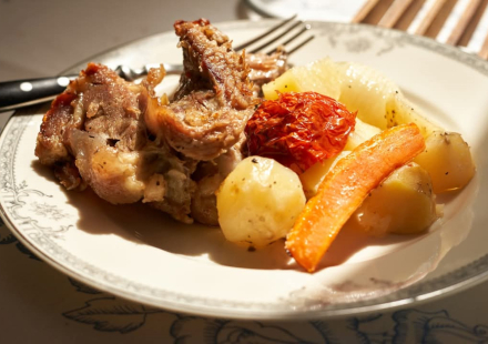 Suncano selo Jagnjedovec Domaca hrana