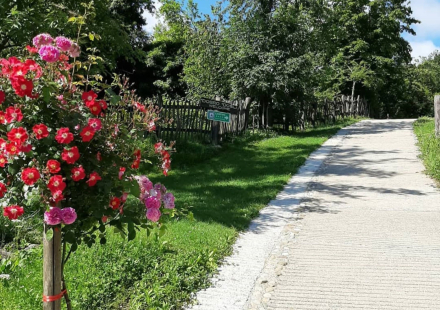 Etno kuca pod Okicem Ulica i ruze