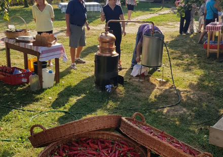 Baranjska kuca Dogadjanja