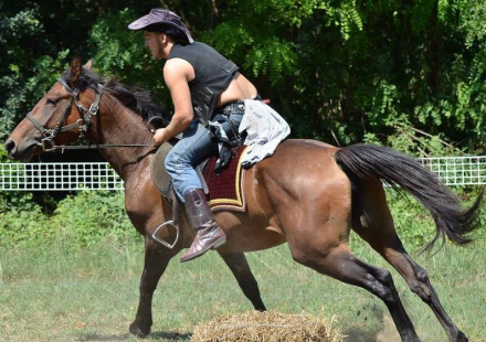 Udruga Stari zanati Hlebine Country vikend Hlebine Konji